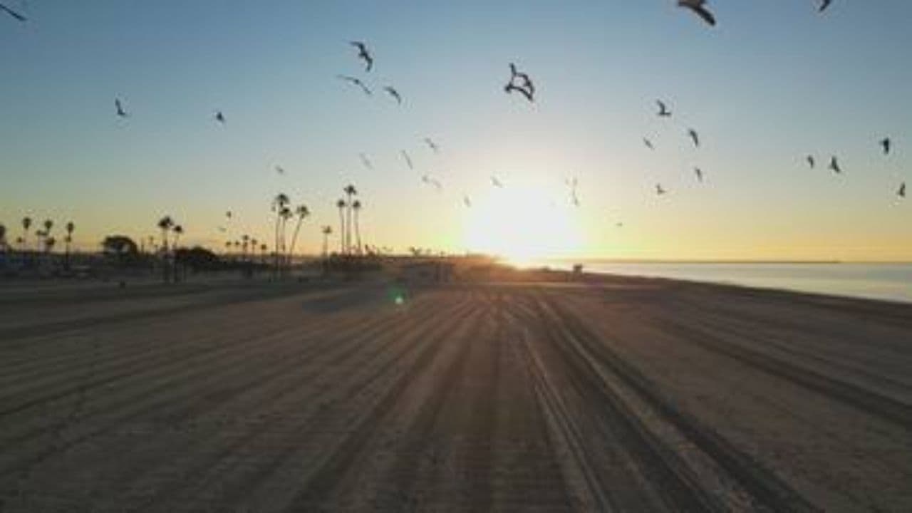 Upbeat Retro TV Theme Groove