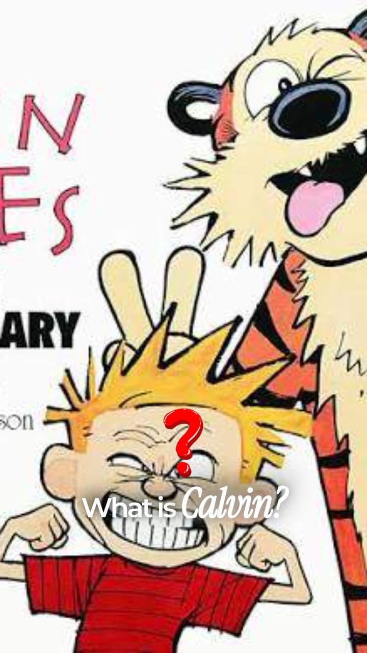 Calvin: The First Cryptographic Memecoin