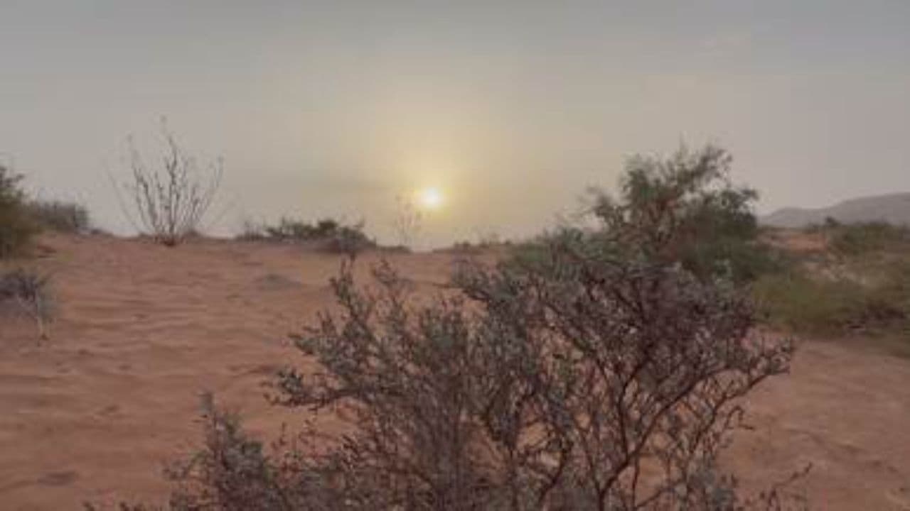 Corrido de Don Mauro