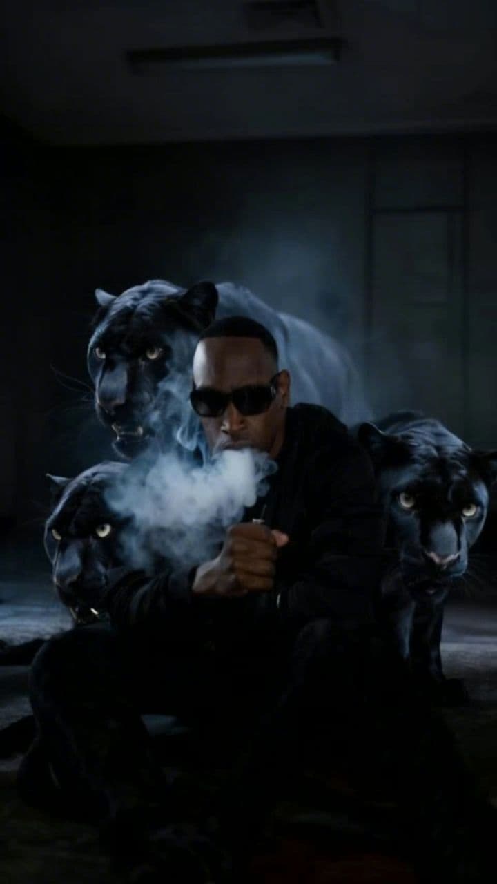 Image transform video