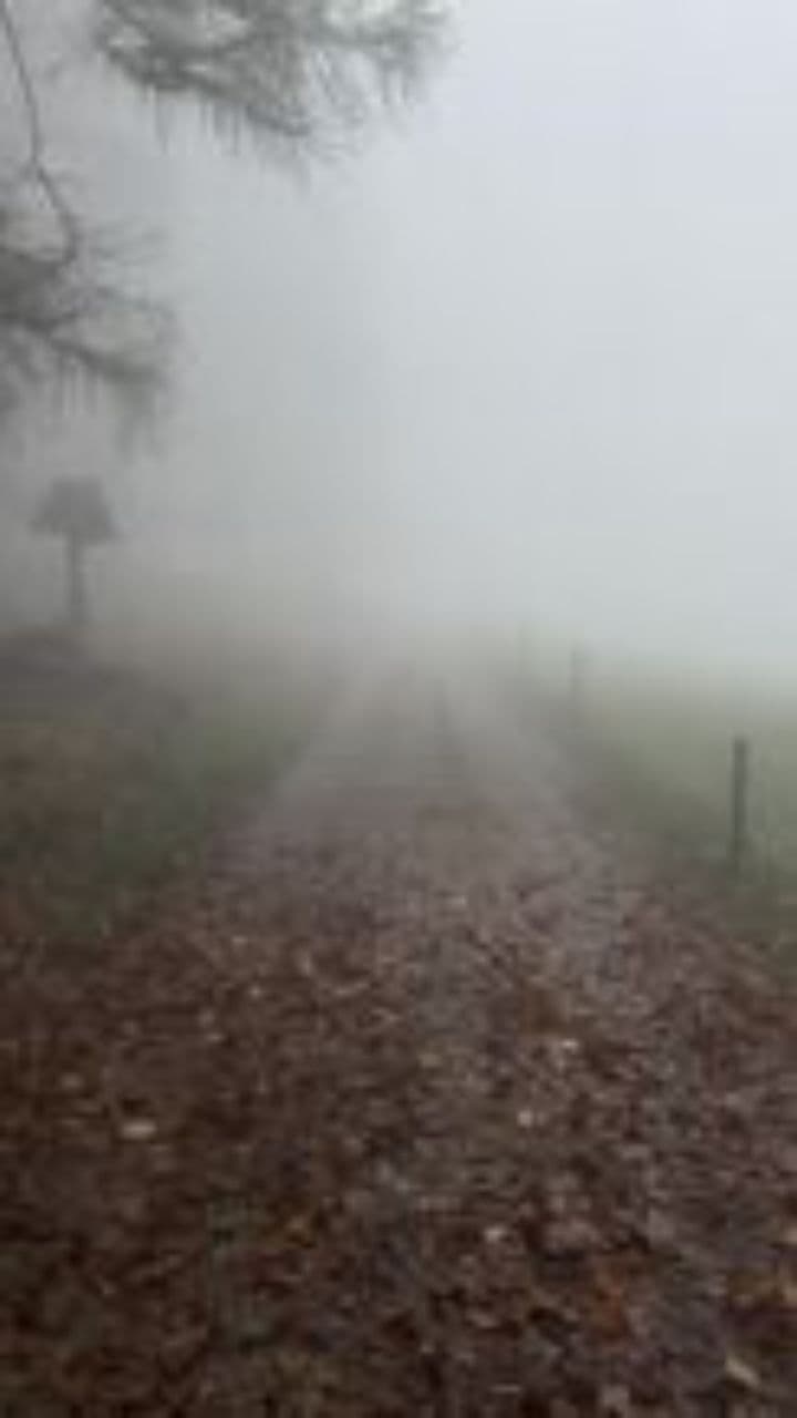 Звонок в ночи