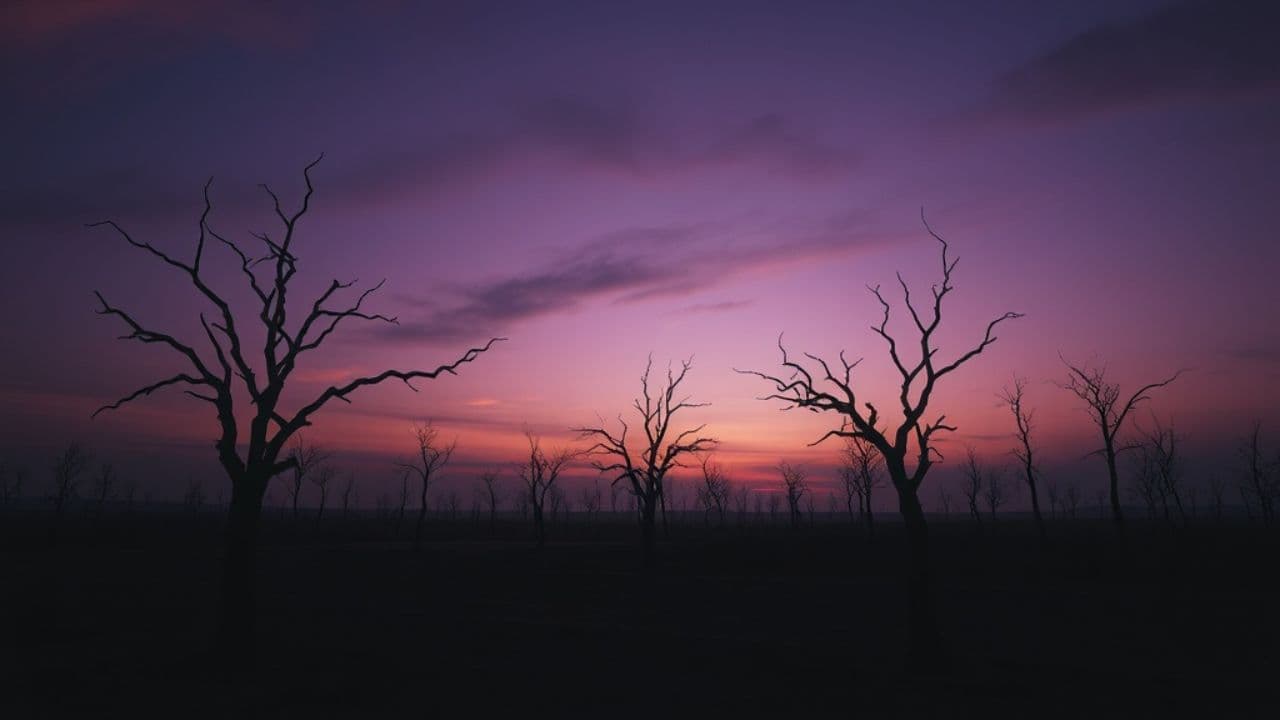 Guiding Light Through Shadows