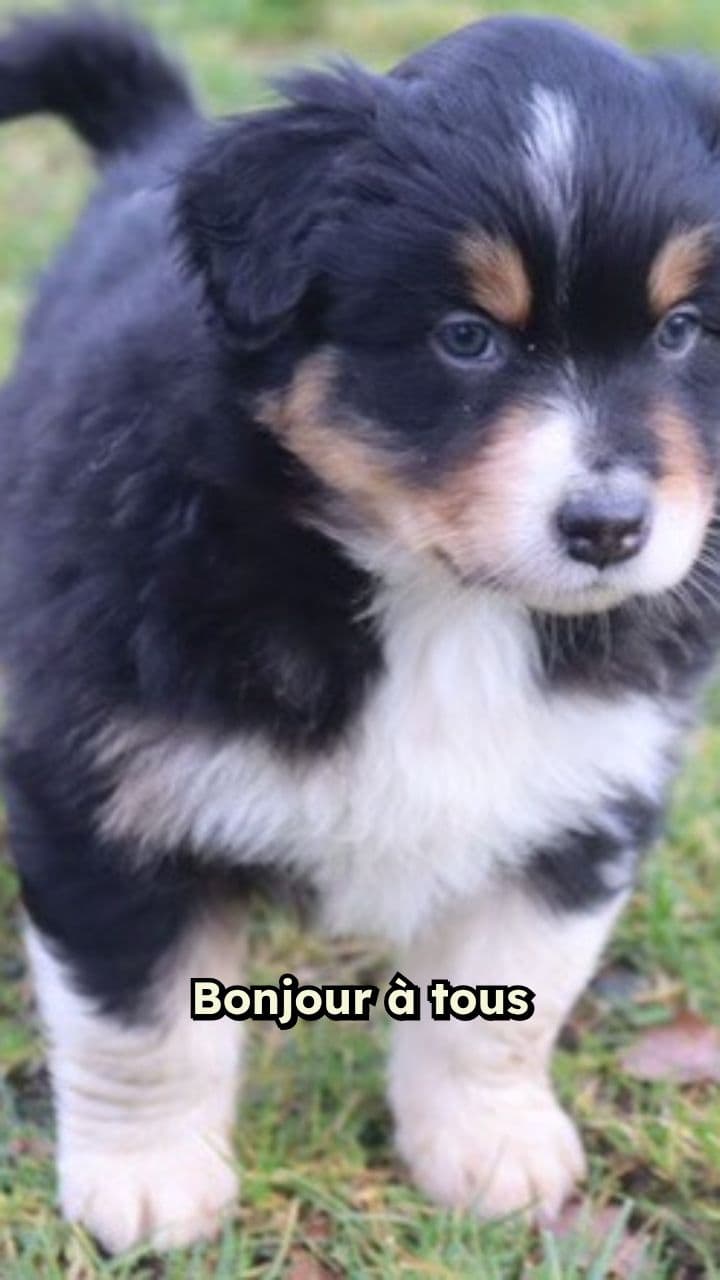 Joyeux Anniversaire Maman de Doudou