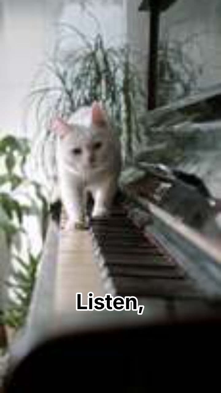 The Algorithm Loves Chaos