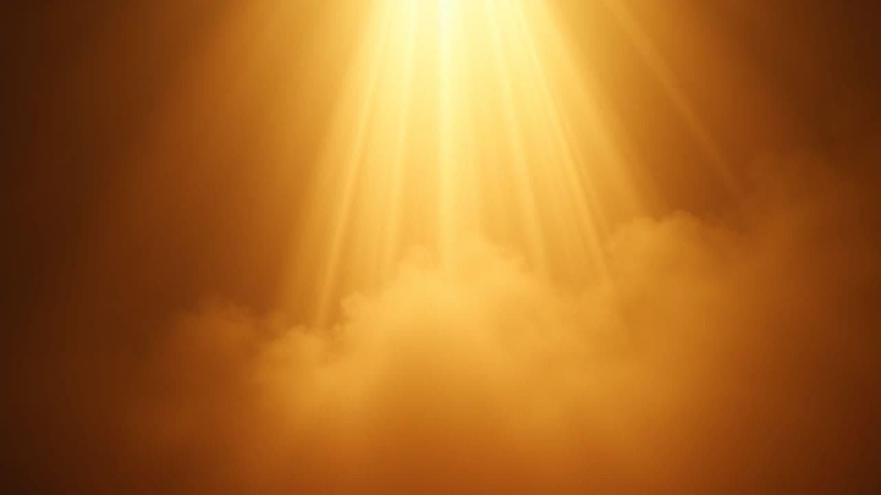 In My Wildest Dreams