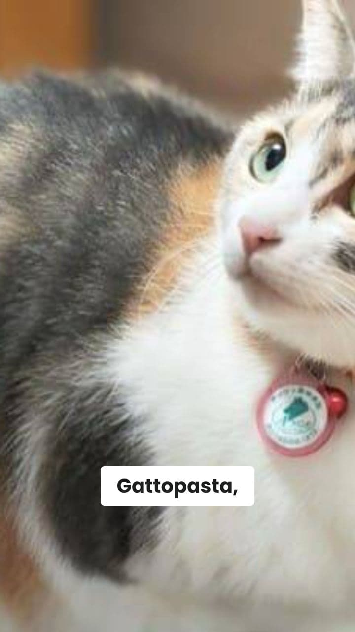 Gattopasta: La Conquista Cosmica