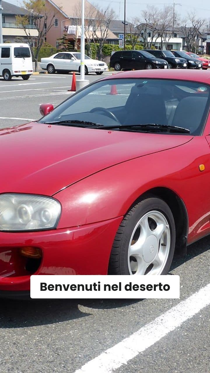 Il Mistero della Supra Mezza nel Deserto del Cocomero Tigre