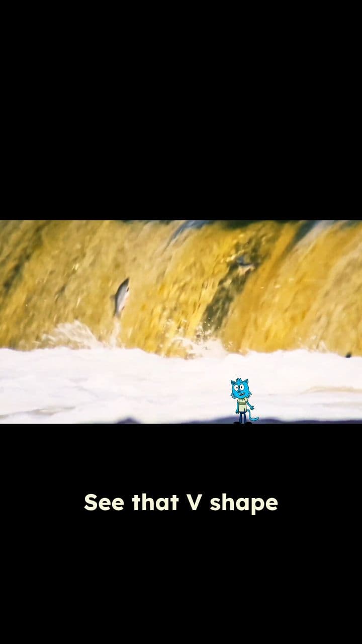 The Science Behind the V Formation