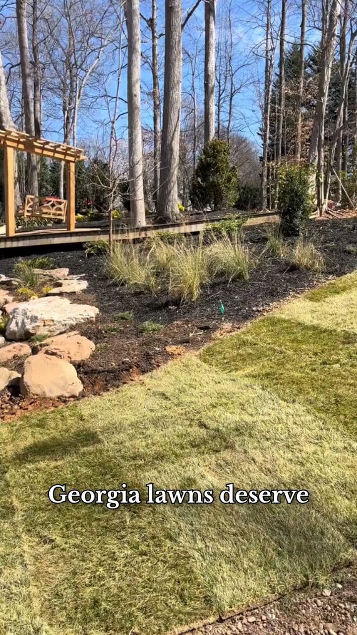 Lush Georgia Lawns