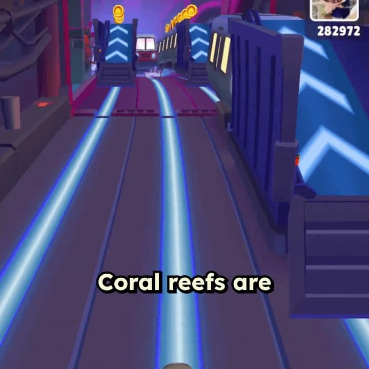 Coral Reefs Are Dying Fast