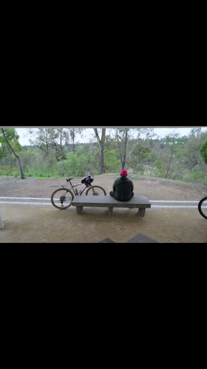 Cómo los Hongos Cambiaron mi Vida por Completo