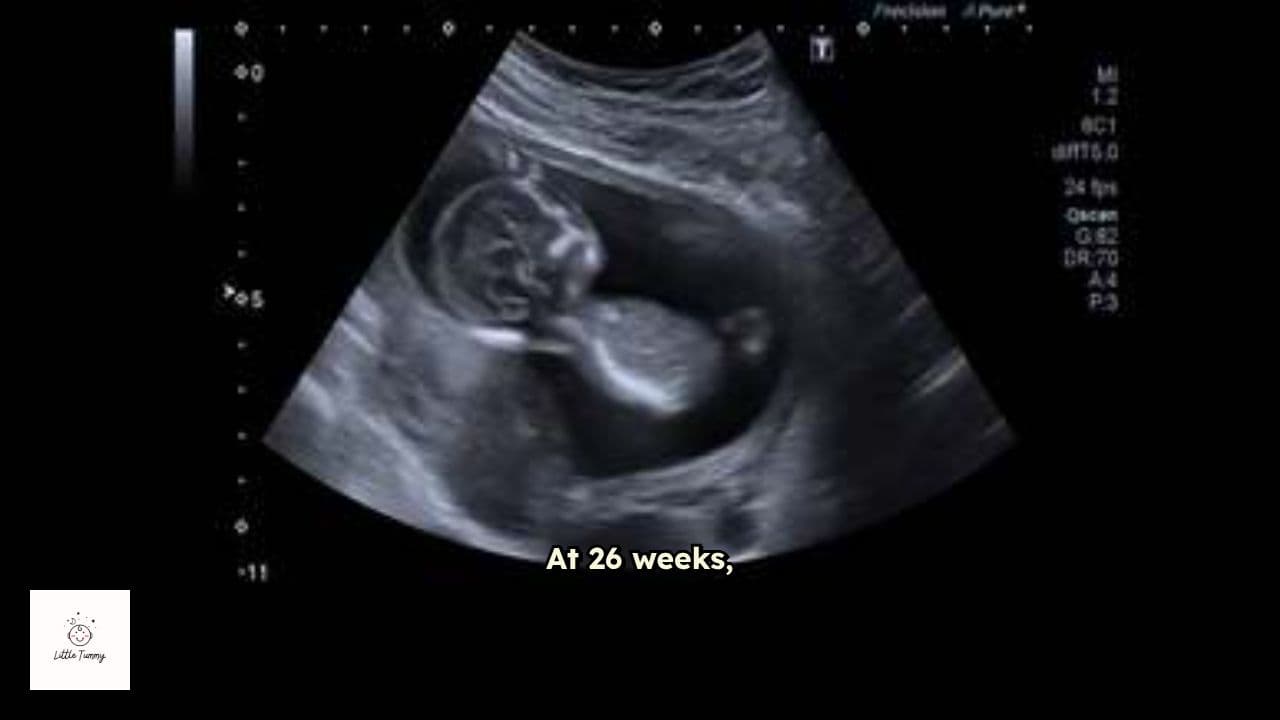Week 26: Baby's Development and Maternal Health