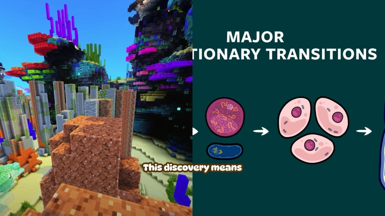 The Four Layers of Life Within You