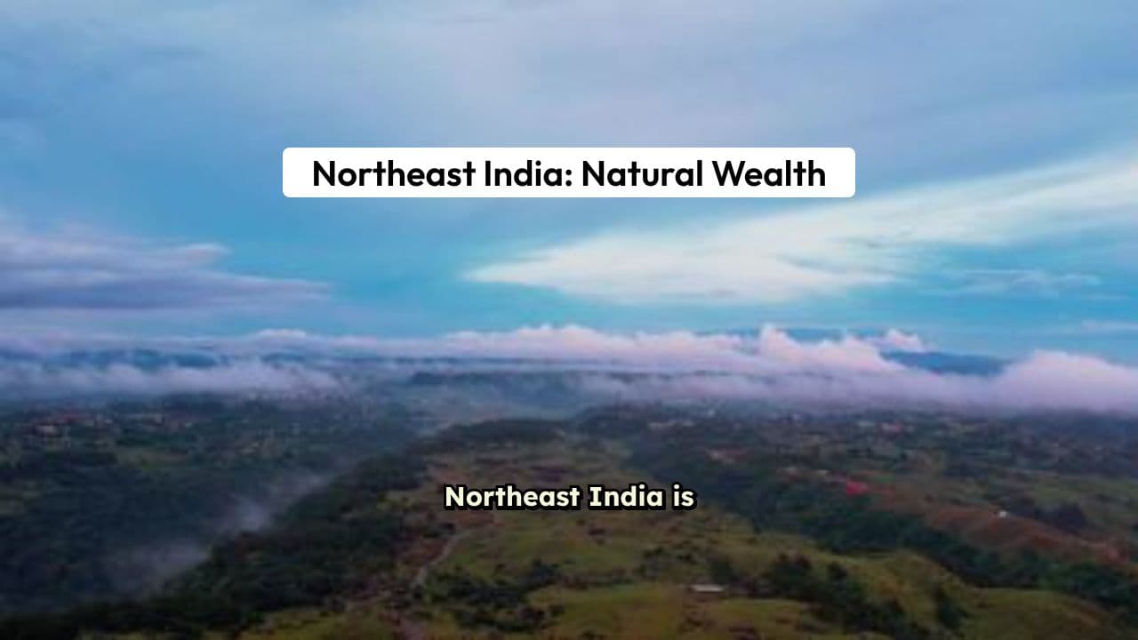 Empowering the Northeast: The Cooperative Revolution