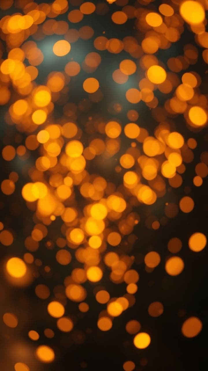 비밀스런 사랑의 시작