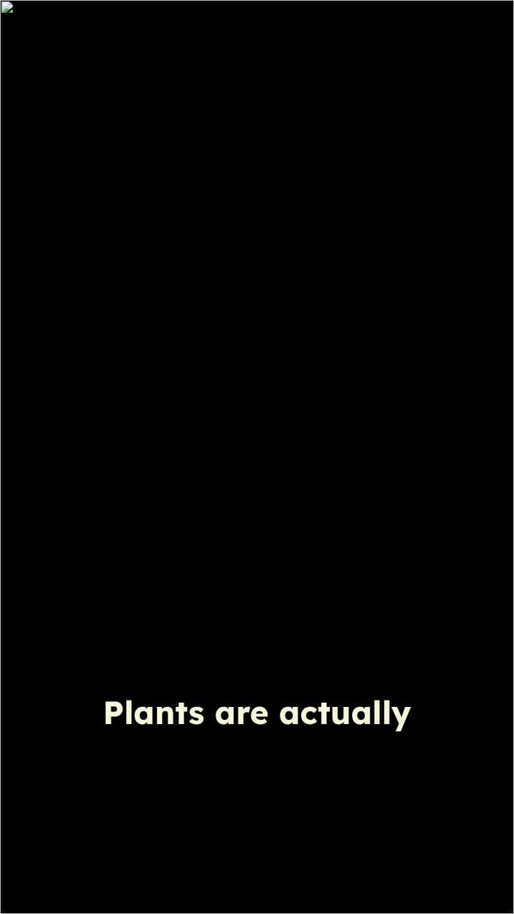 The Inefficiency of Photosynthesis