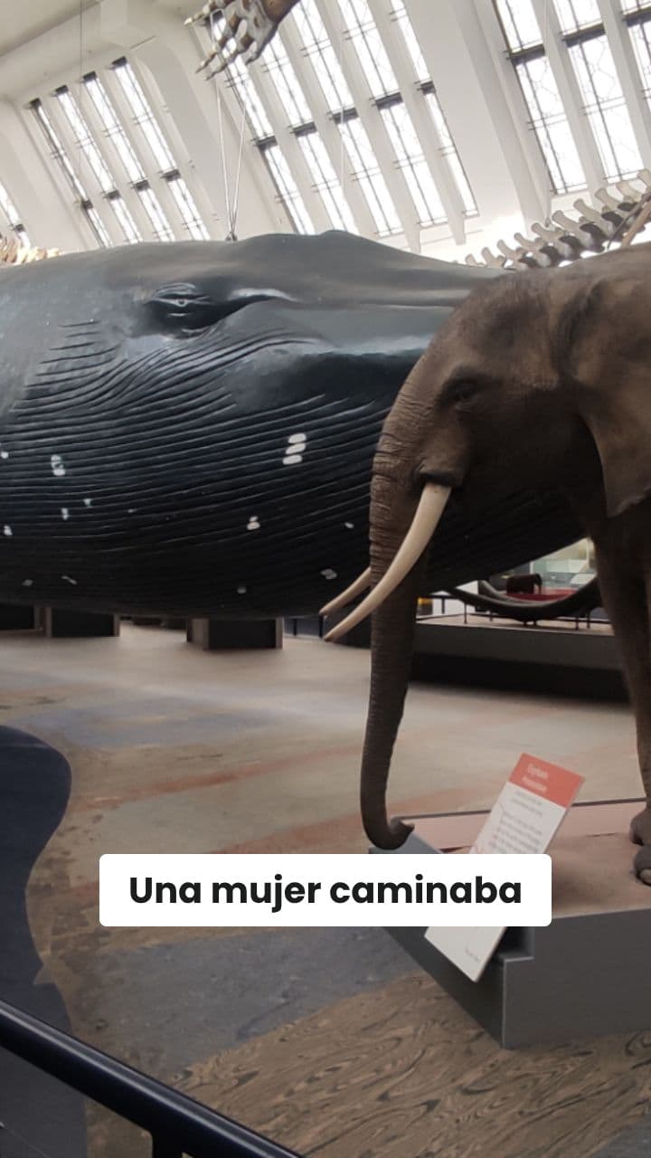 El elefante cobra vida en el museo