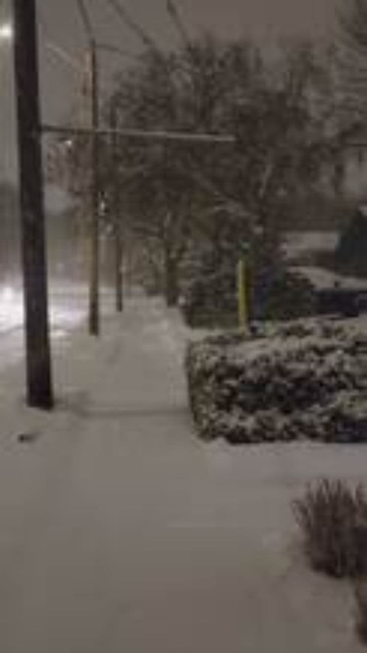 भूपत: डाकू या नायक?