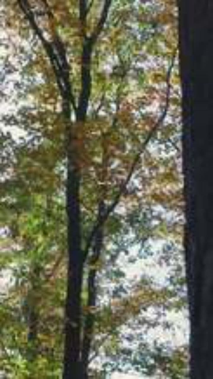 Осень в слезах и улыбках