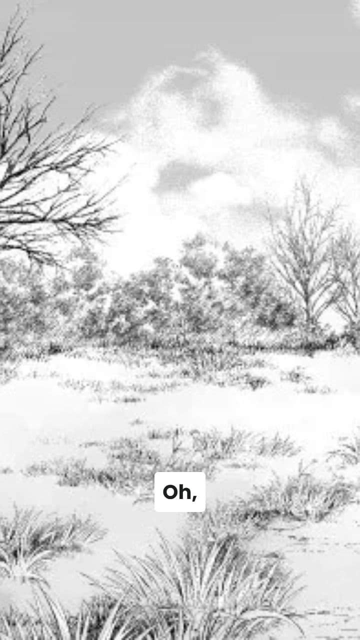 L'Odisea di ZebraJetto di Melone!