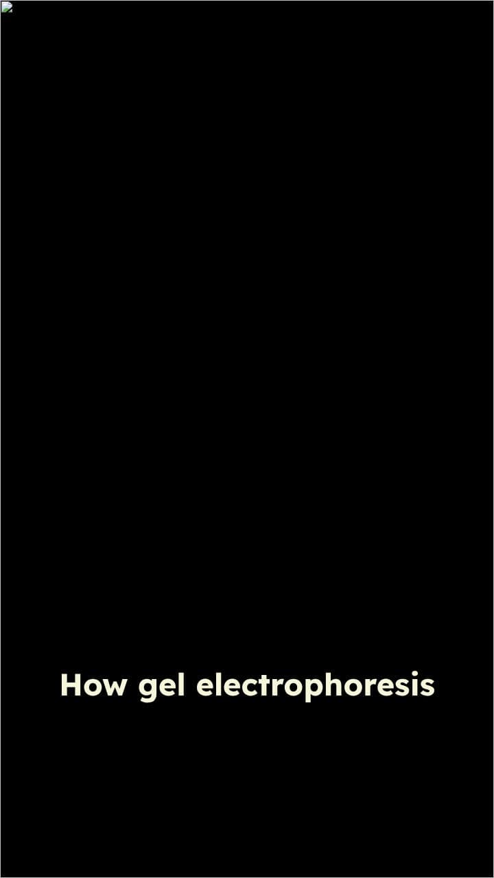 Gel Electrophoresis and STR Analysis