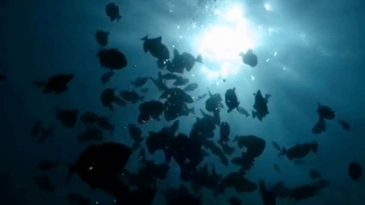 Tragedies of the Deep: Haunting Dive Stories