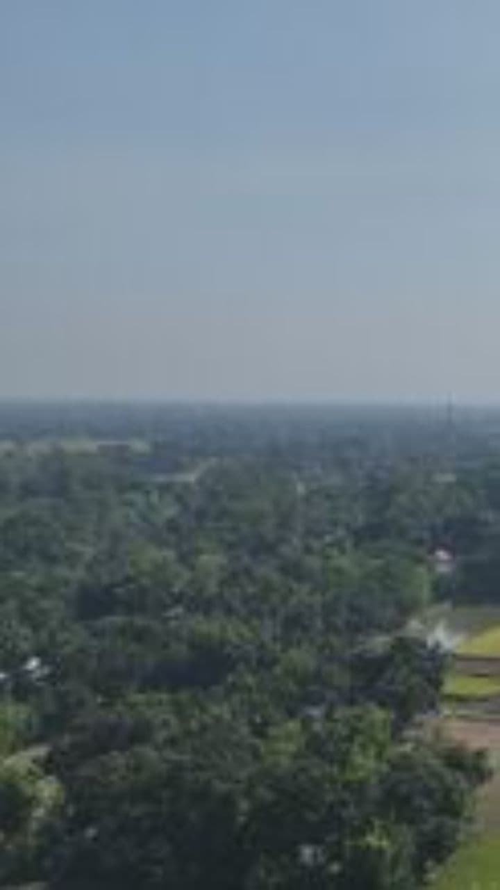 Flores sin olor en el camposanto