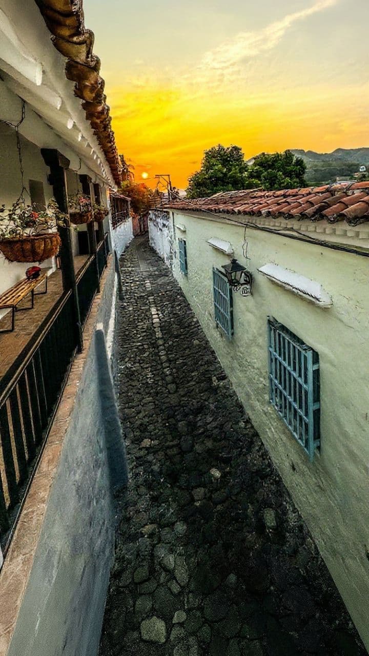 Casa Calandria: Lujo y Tranquilidad