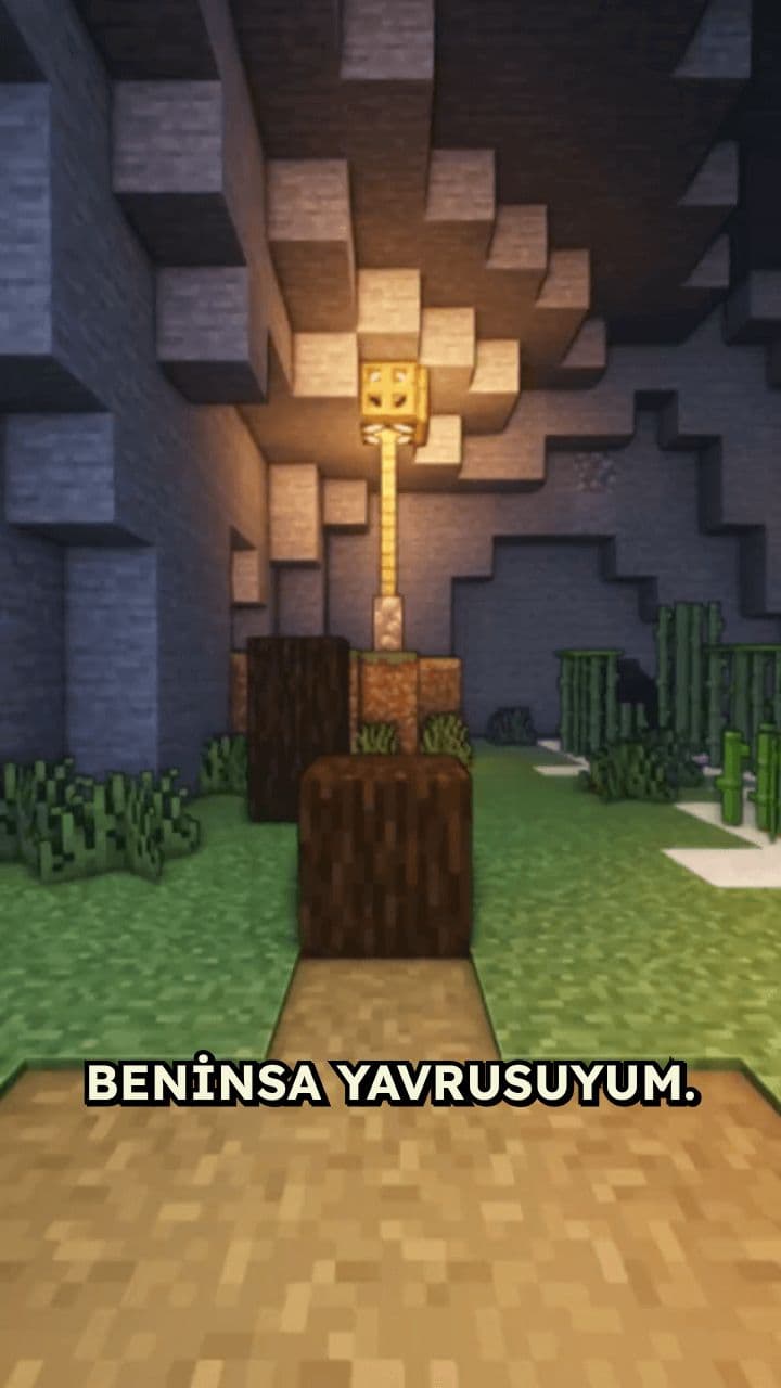 Ben İnsan Yavrusu