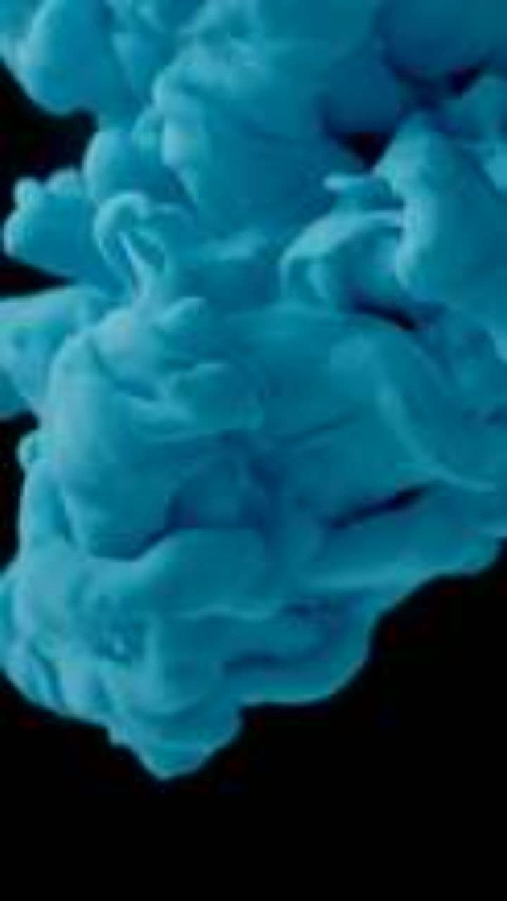 Relentless Confrontation