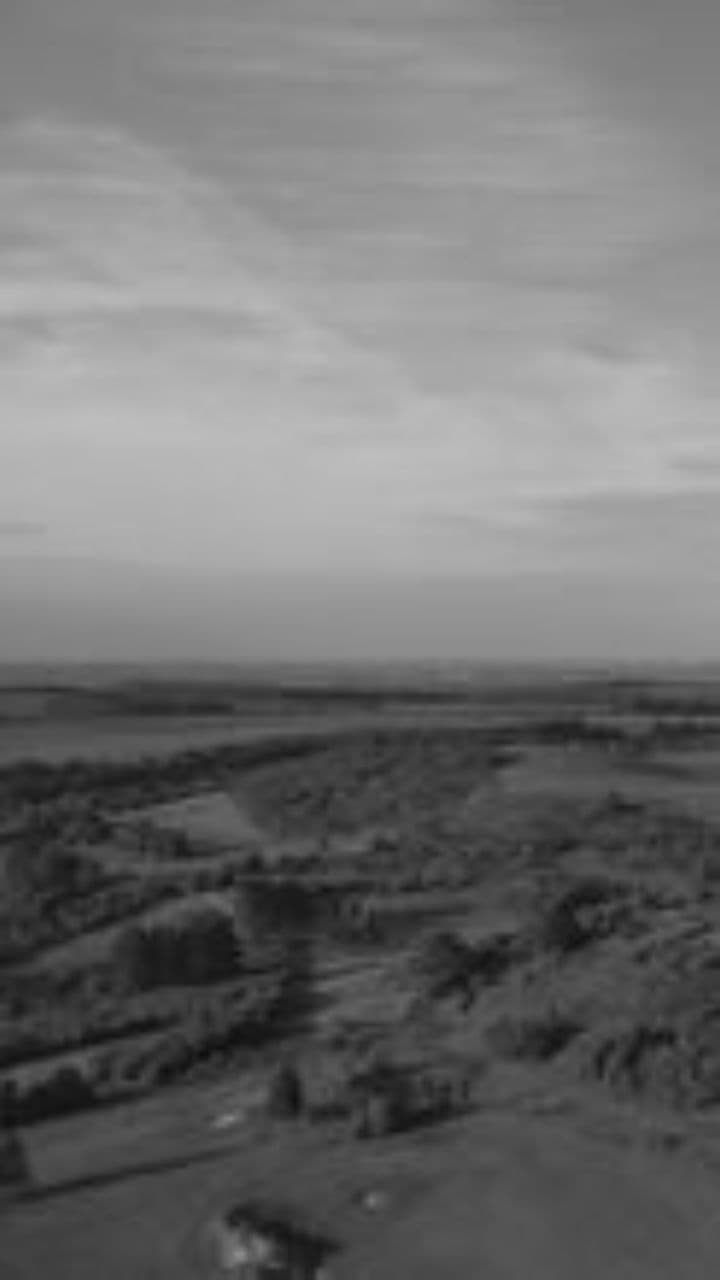 Don't Let Cowboys Be Babies