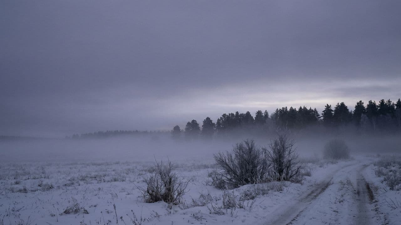 Над Россией лишь небо и Бог