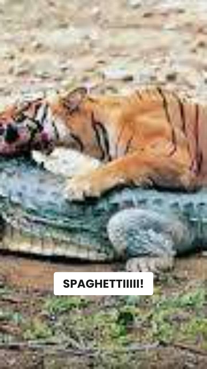 L'Absurdo Tigrococcodrillo Brainrot