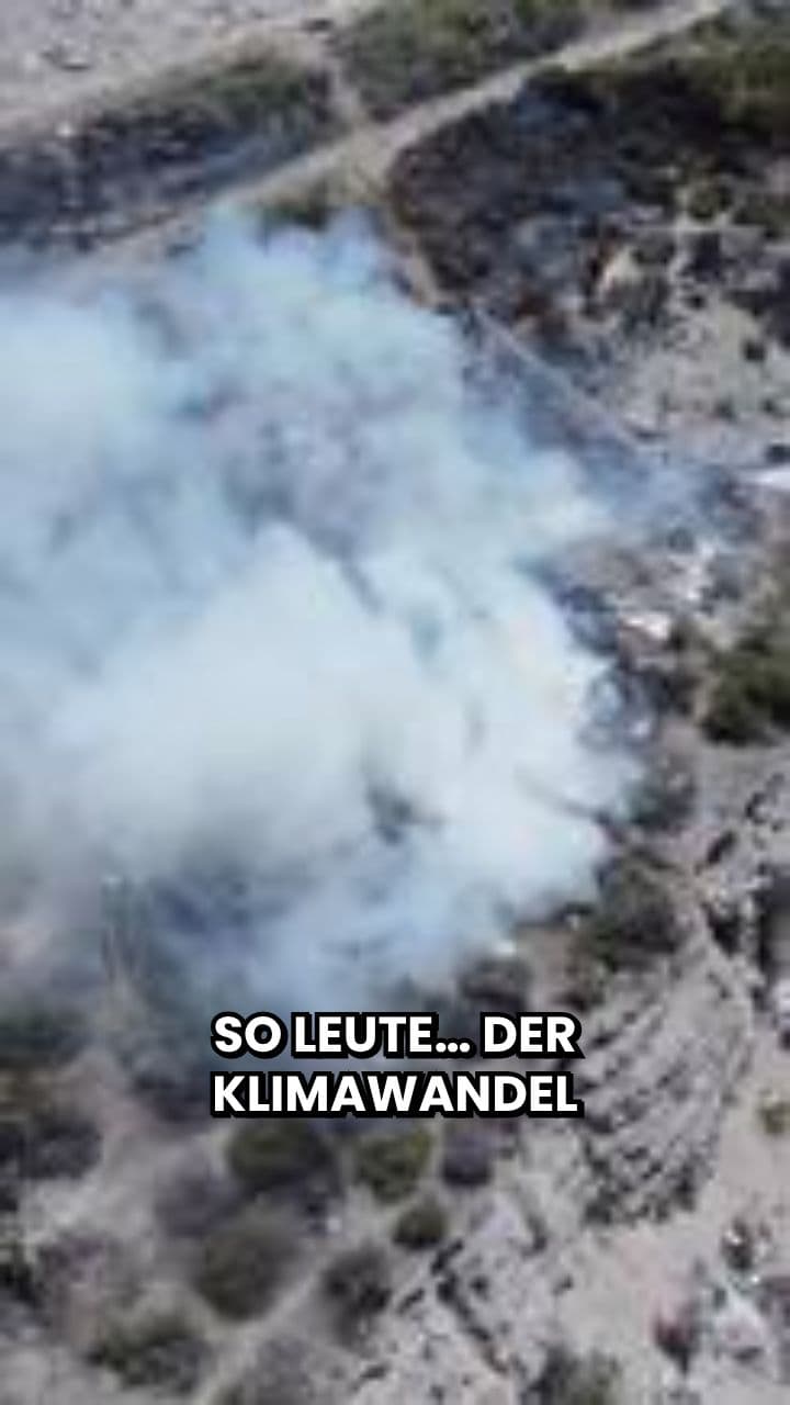 Klimawandel: Sommer im Backofen-Modus