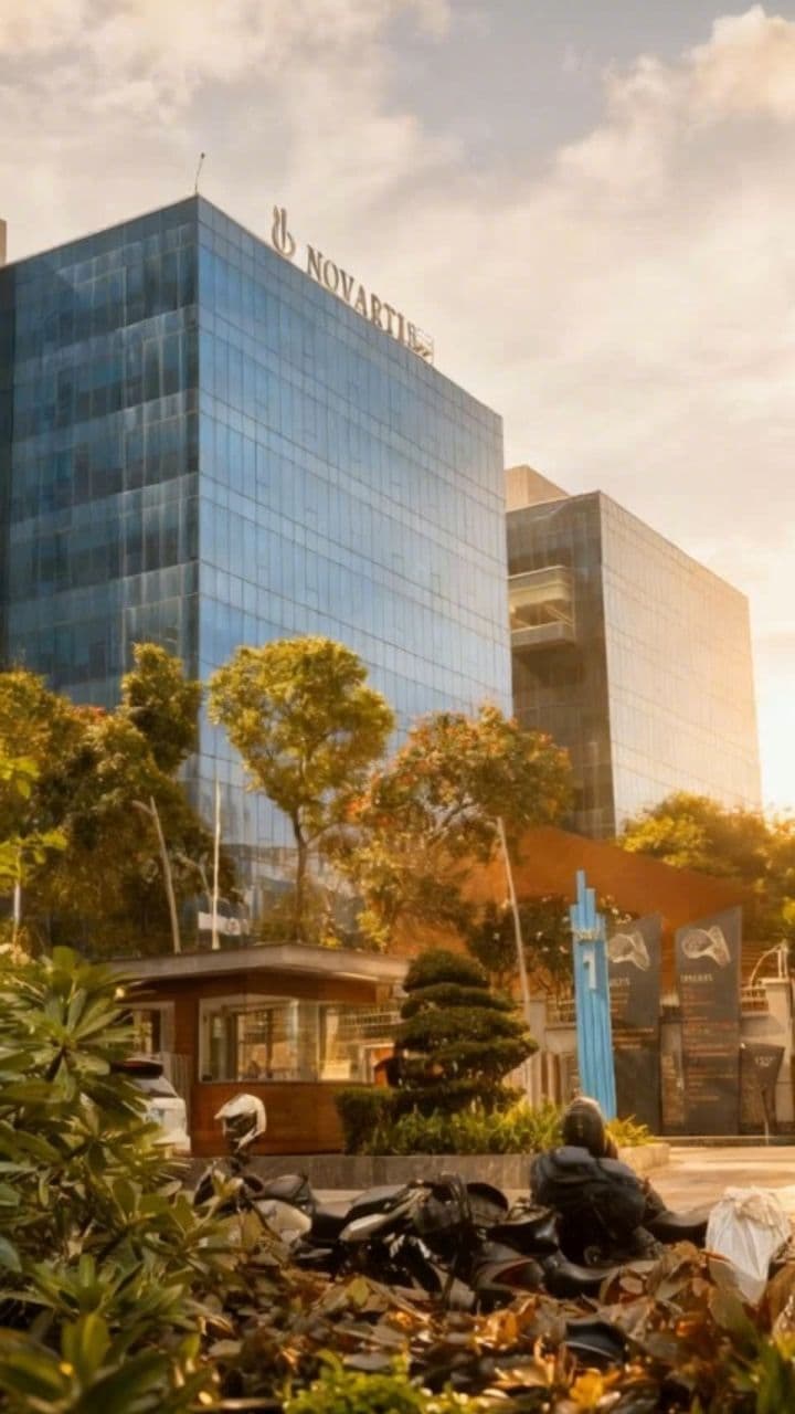 Image transform video