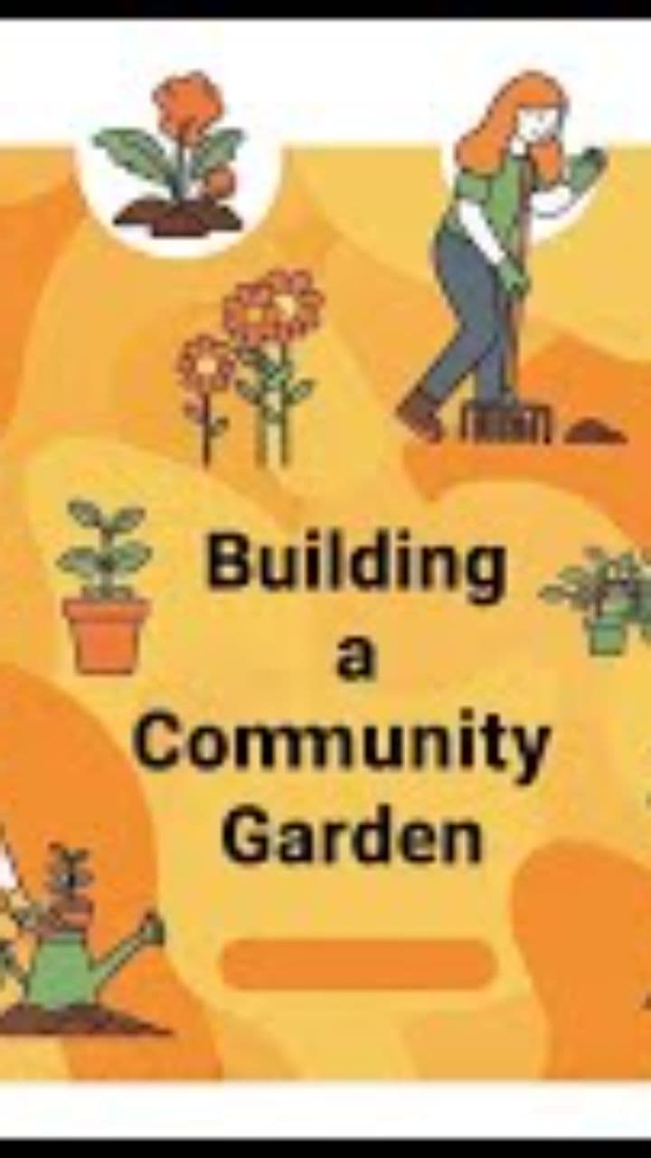 Community Gardens: Growing Together in Harmony