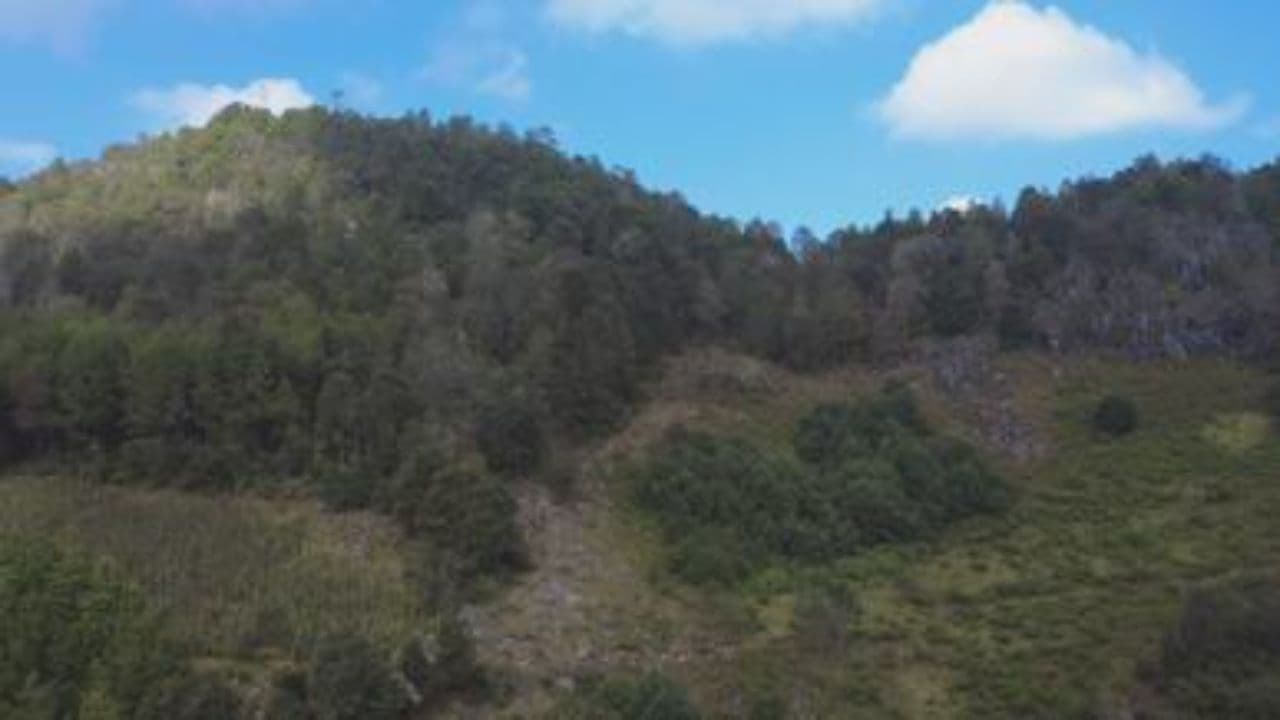 Not Who They Said I'd Be