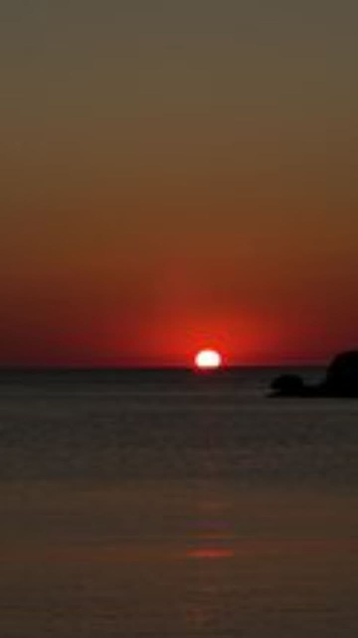 Come Home to the Light