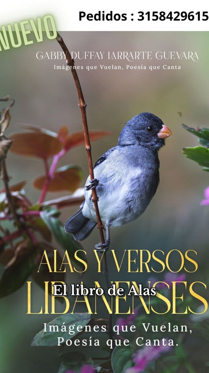 Alas y Versos: Regalo de Navidad