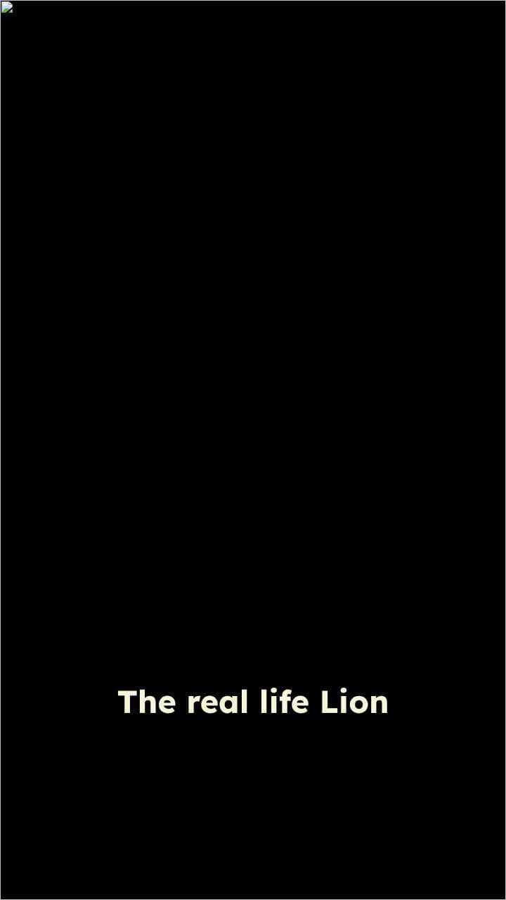 The Rise and Fall of Mali's Empire