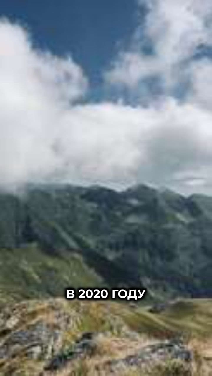 Чудо выживания в Карпатах