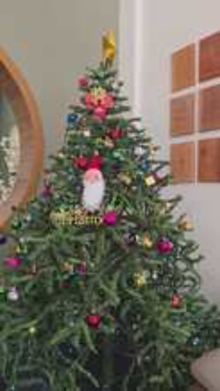 Ronaldo’s 2008 Premier League Peak