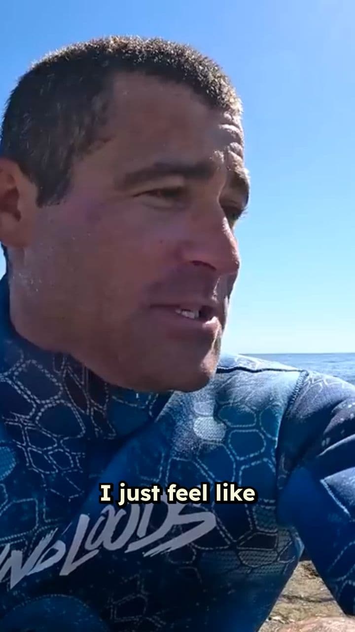 Actively Hunted by Bull Sharks