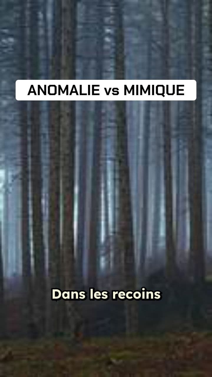Anomalie contre Mimic : Le Duel Minecraft