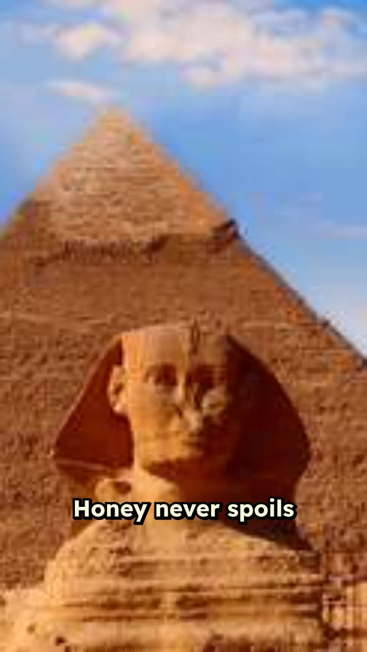 Fascinating Facts About Nature and History