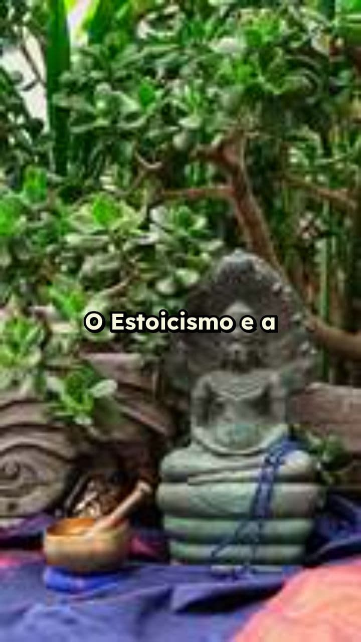 Razão e Fé: Irmãos na Sabedoria