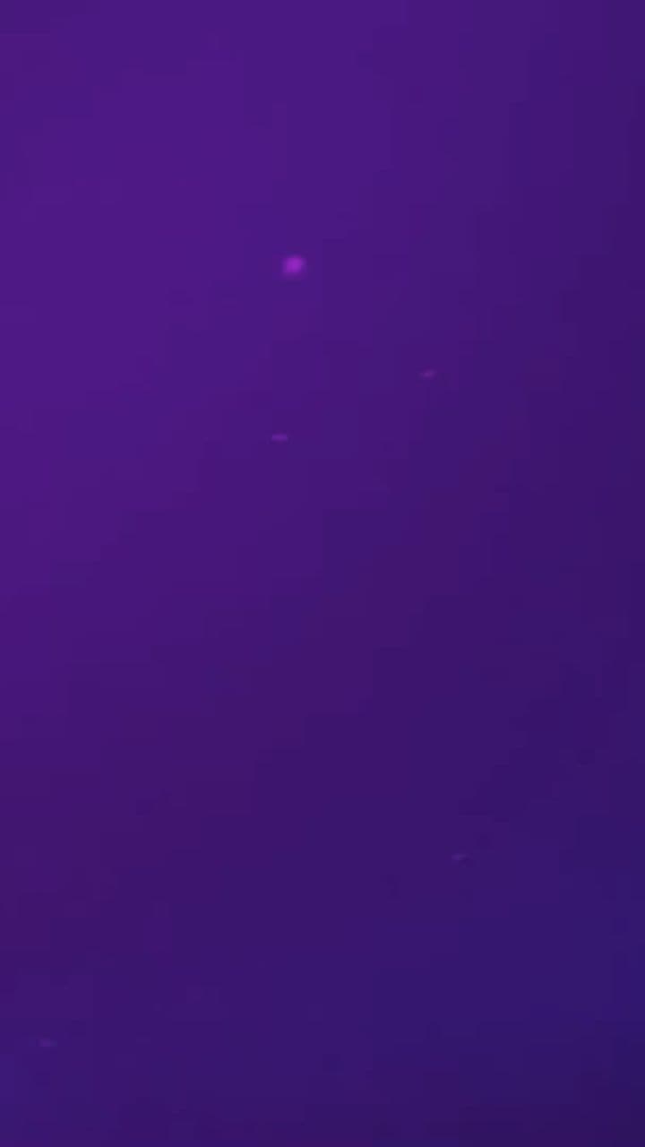 Le crack. Il a tout pris, il a tout mangé.