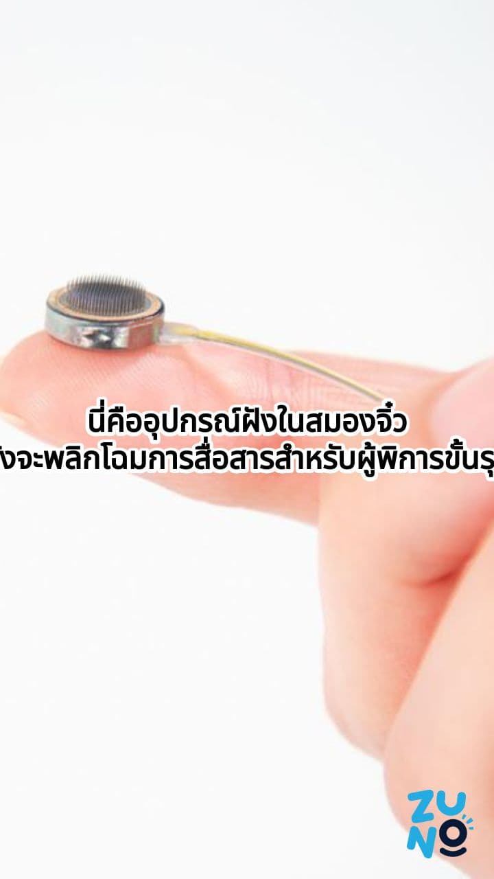 Paradromics อุปกรณ์ฝังในสมอง: ฟื้นฟูการพูด