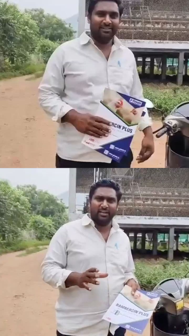 Product Recommendation Summary