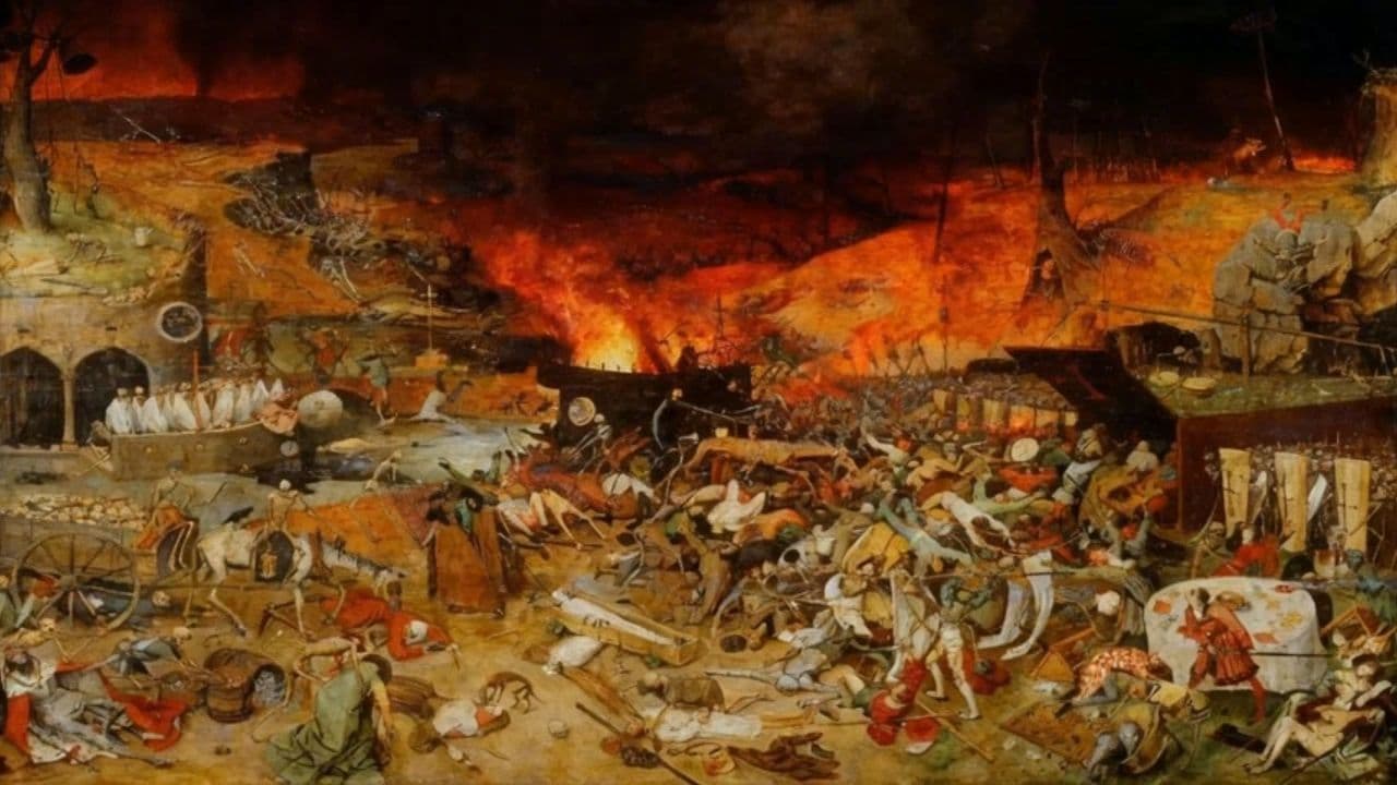 Image transform video